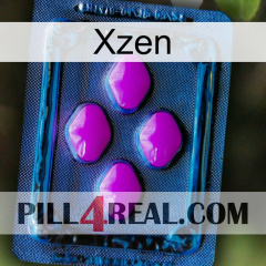 Xzen 04